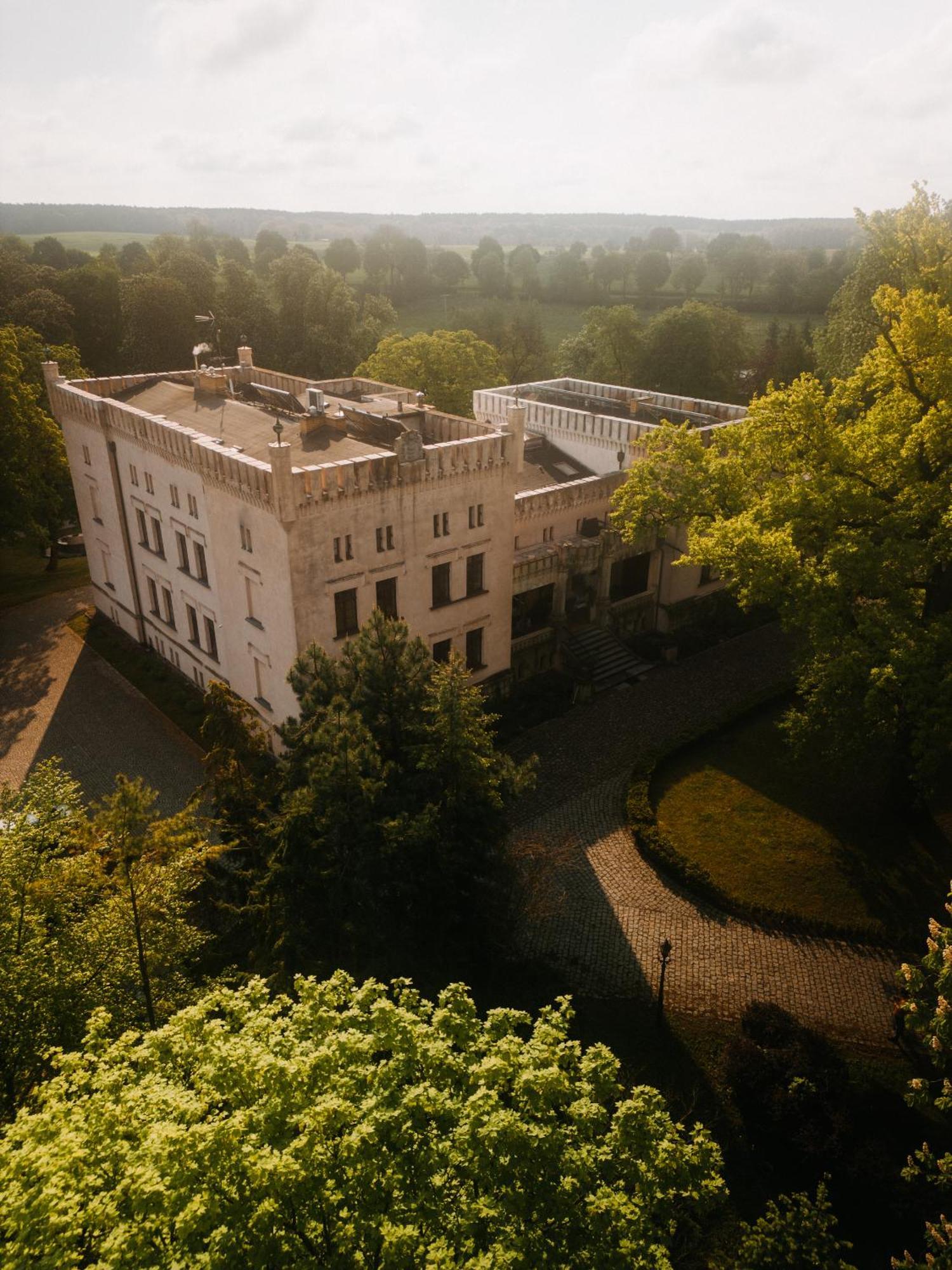 Palac Srodka Chrzypsko Wielkie エクステリア 写真